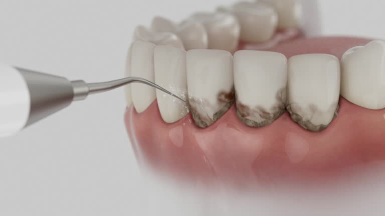 Reliable Emergency Dentist contractor in Lenawee County County, MI by Dentist Open Now